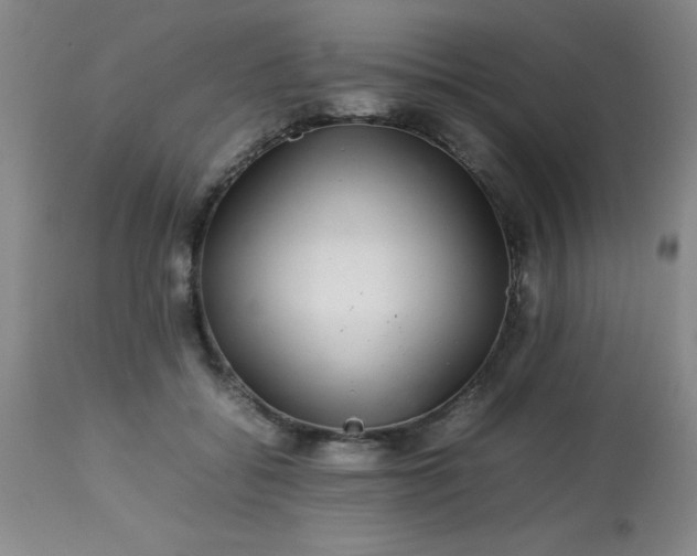 X0000113640556200910021919