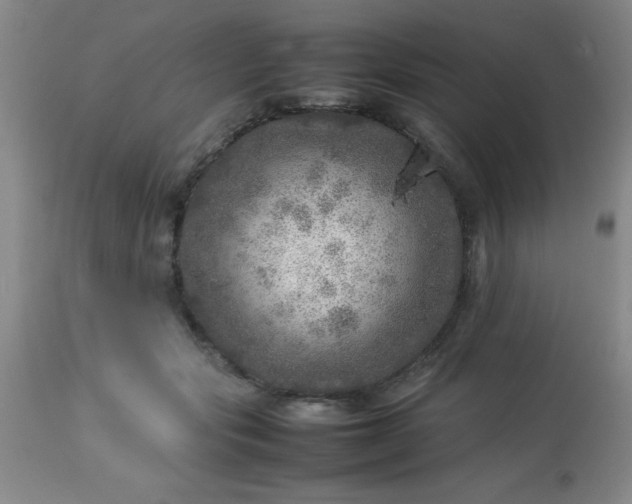 X0000113640557200910021919