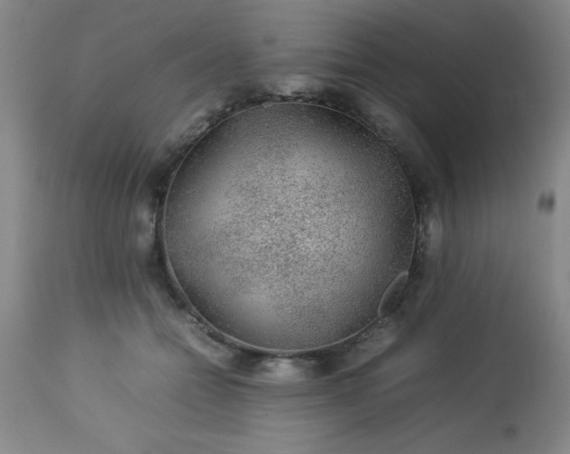 X0000113640558200910021919