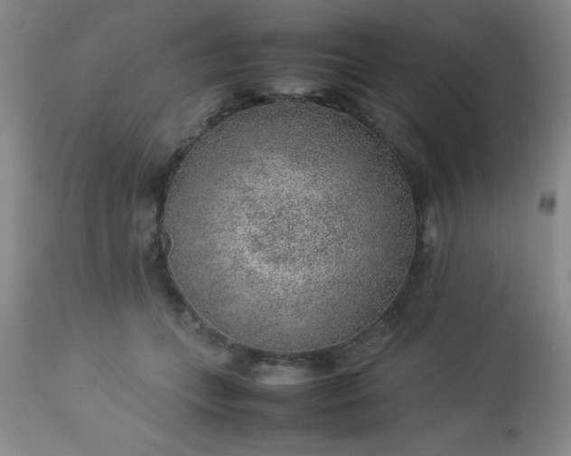 X0000113640559200910021919