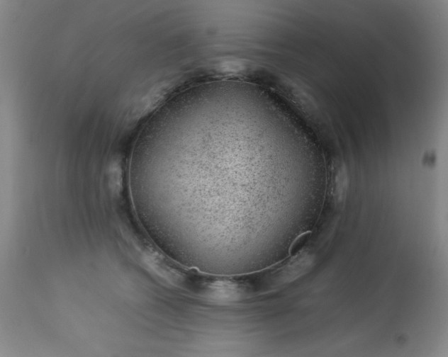 X0000113640562200910021919