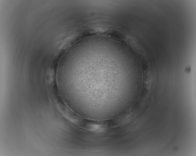 X0000113640563200910021919