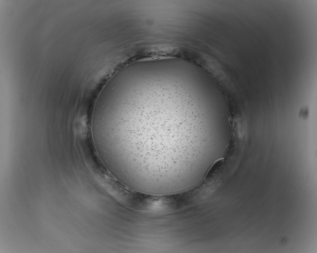 X0000113640564200910021919