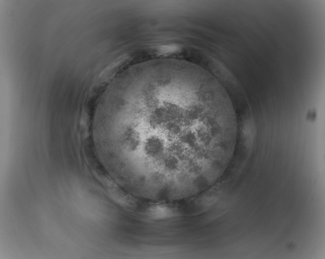 X0000113640565200910021919