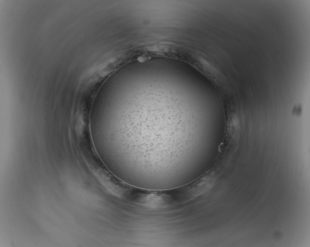 X0000113640566200910021919