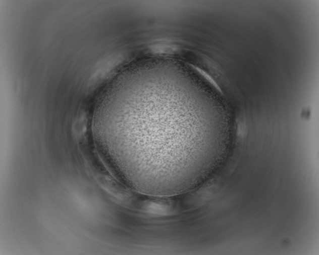 X0000113640567200910021919