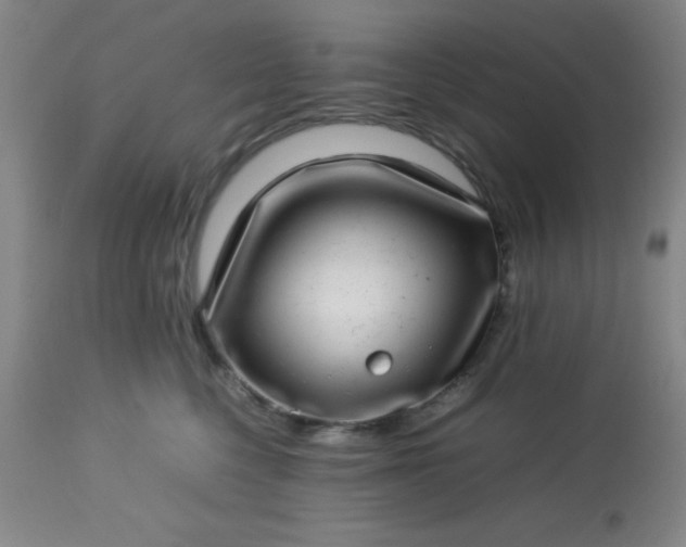 X0000113640568200910021919