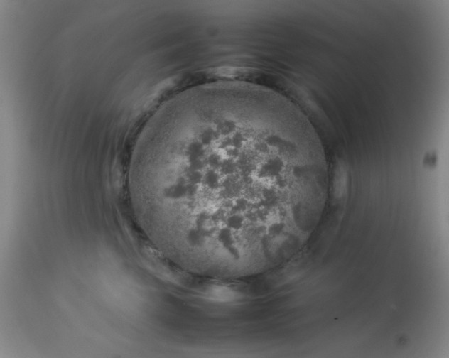 X0000113640569200910021919