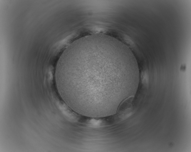 X0000113640570200910021919