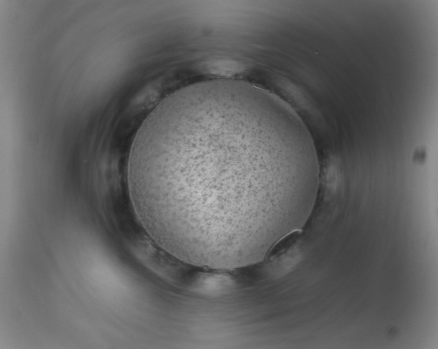 X0000113640572200910021919