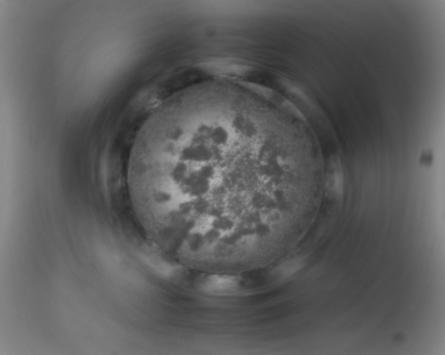 X0000113640573200910021919