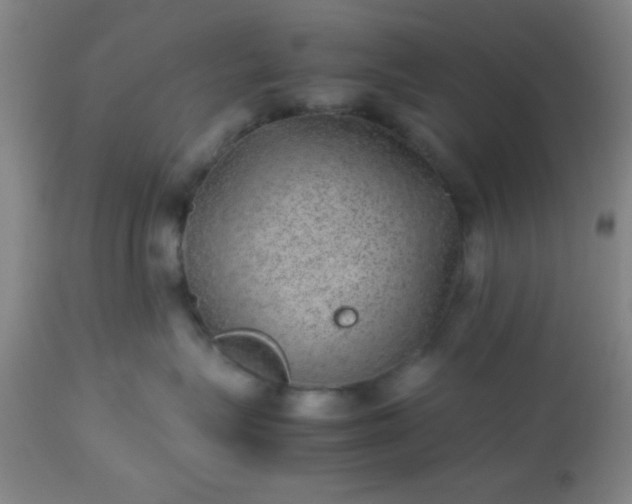 X0000113640575200910021919