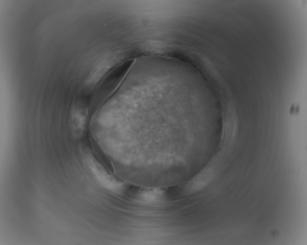 X0000113640576200910021919