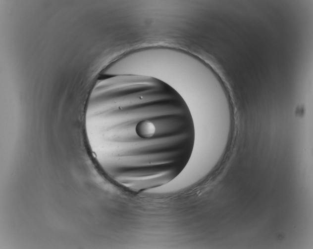 X0000113640577200910021919