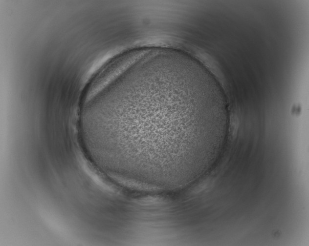 X0000113640578200910021919