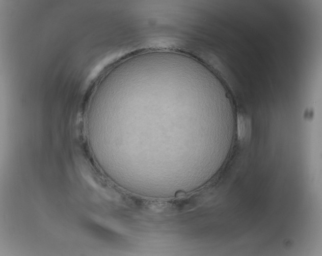 X0000113640579200910021919