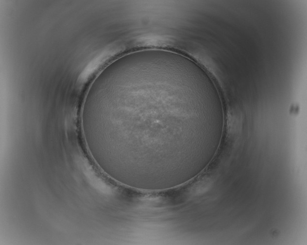 X0000113640581200910021918