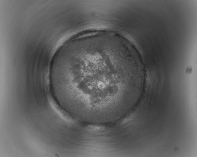 X0000113640582200910021918