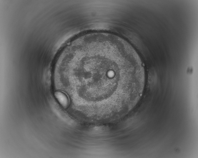 X0000113640584200910021918