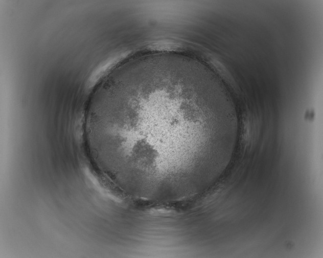 X0000113640586200910021918