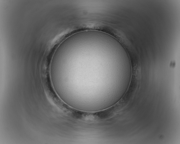 X0000113640587200910021918