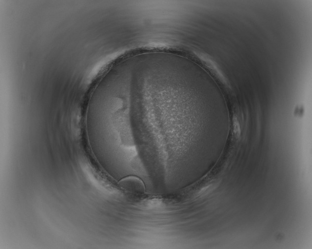 X0000113640588200910021918