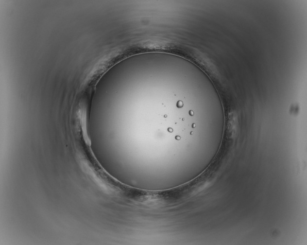 X0000113640589200910021918