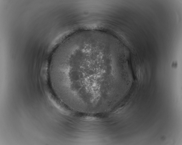 X0000113640590200910021918