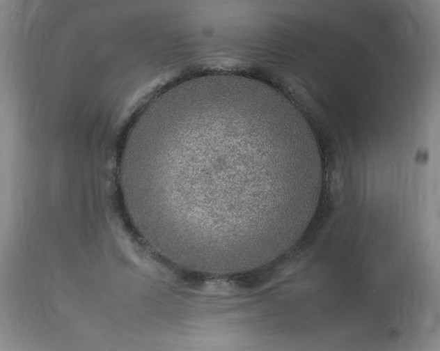 X0000113640591200910021918