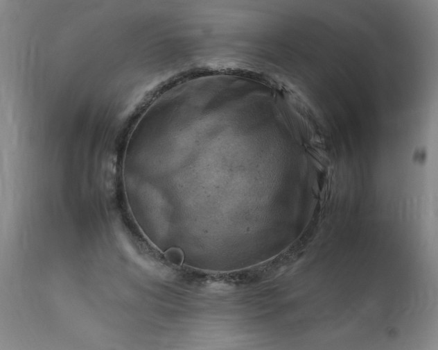 X0000113640592200910021918