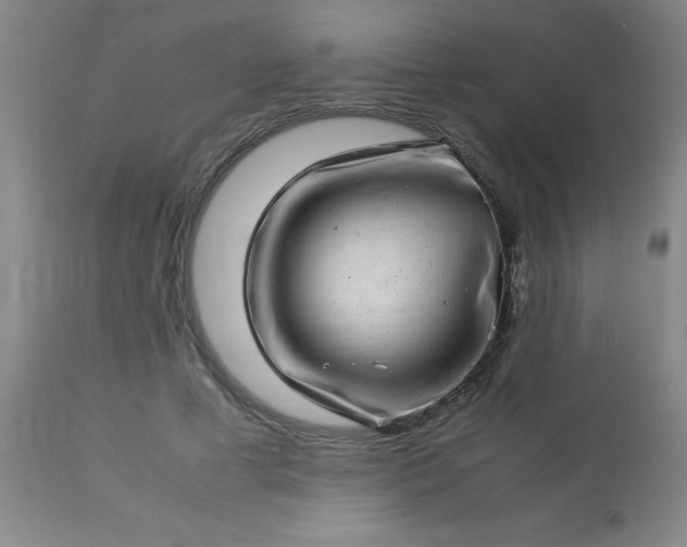 X0000113640593200910021918