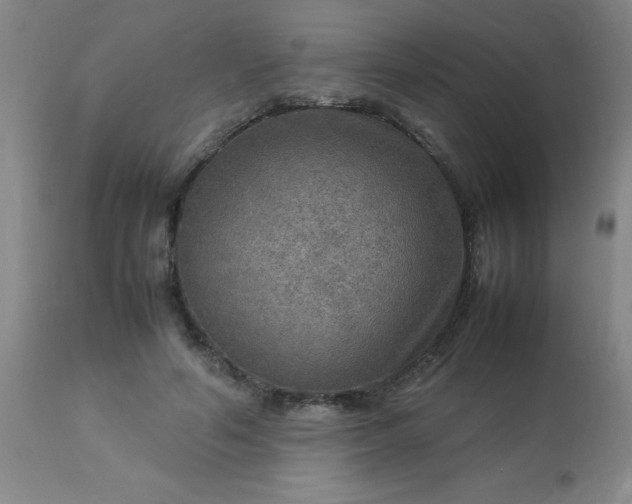 X0000113640594200910021918