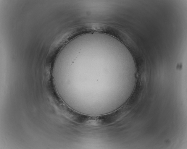 X0000113640595200910021918