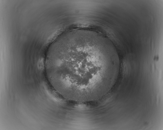 X0000113640598200910021918