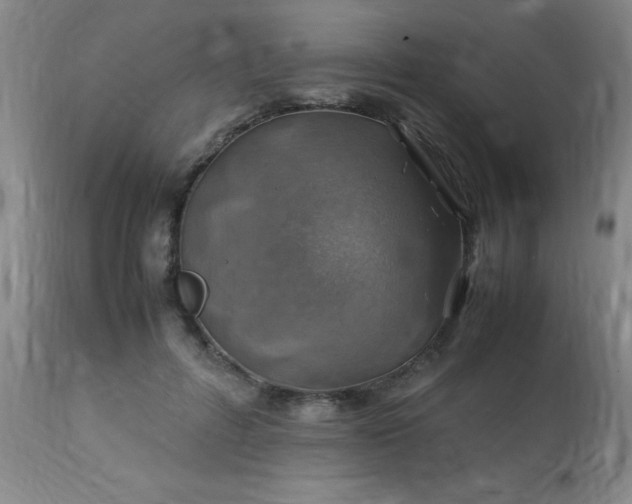 X0000113640600200910021918