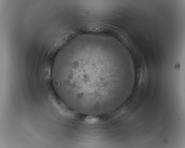 X0000113640602200910021918