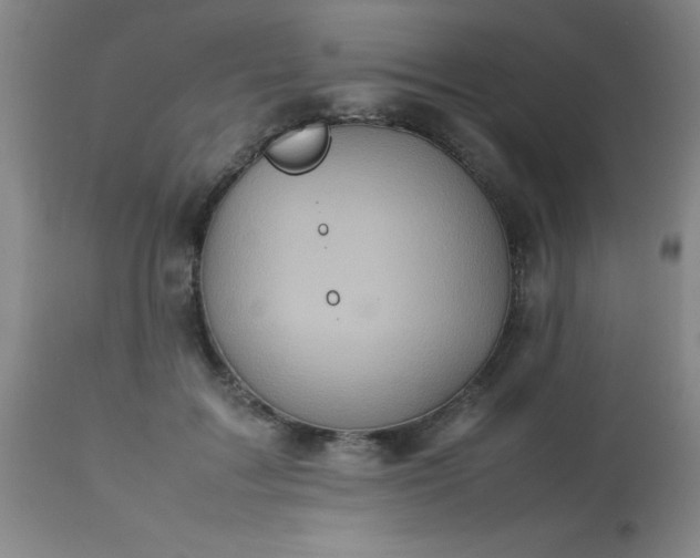 X0000113640603200910021918