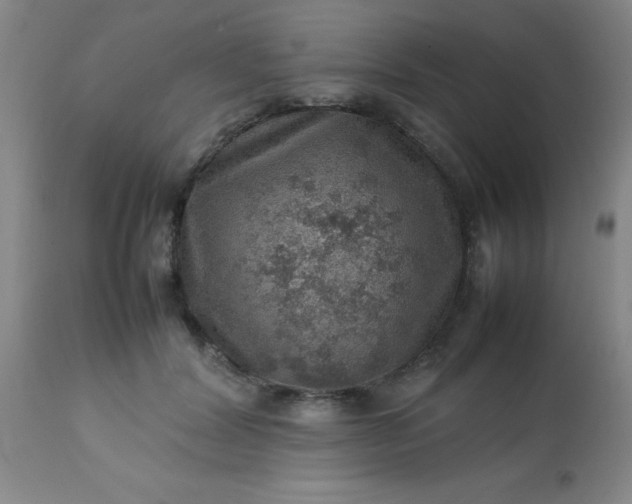 X0000113640604200910021918