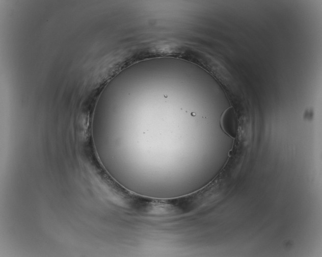 X0000113640605200910021918