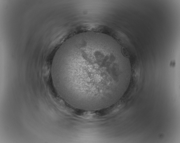 X0000113640607200910021918