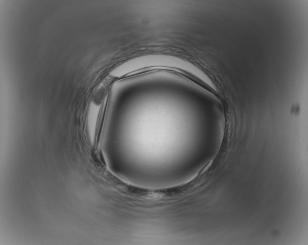 X0000113640609200910021918