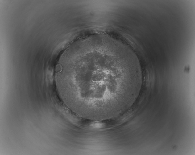 X0000113640610200910021918