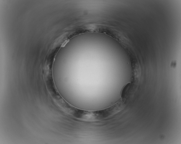 X0000113640611200910021918