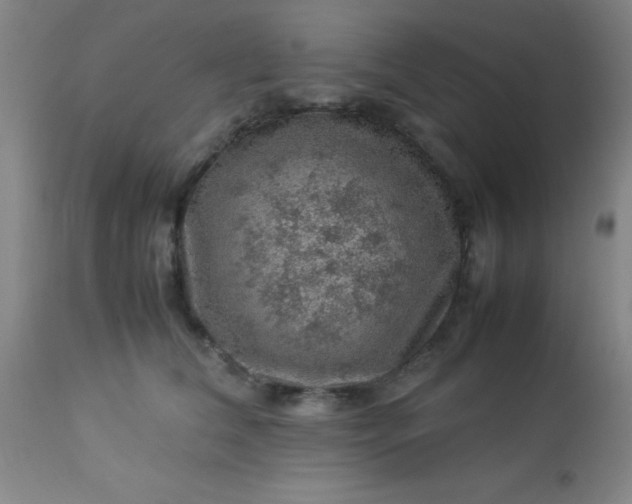 X0000113640612200910021918