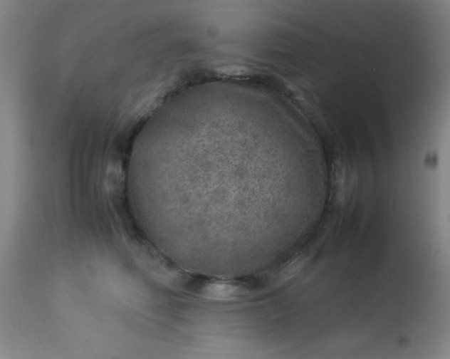 X0000113640614200910021918