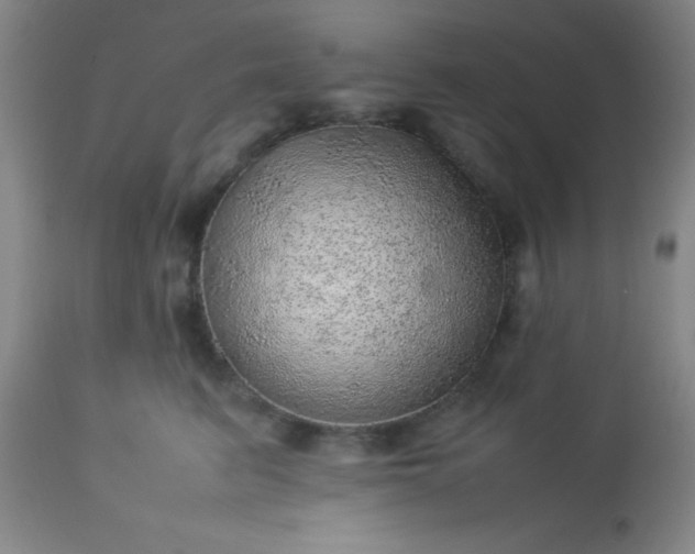 X0000113640615200910021918