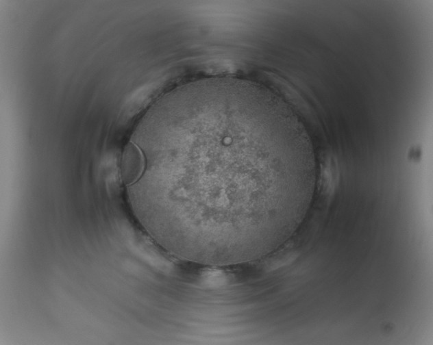 X0000113640616200910021918