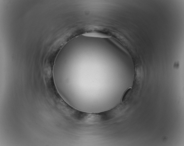 X0000113640617200910021918