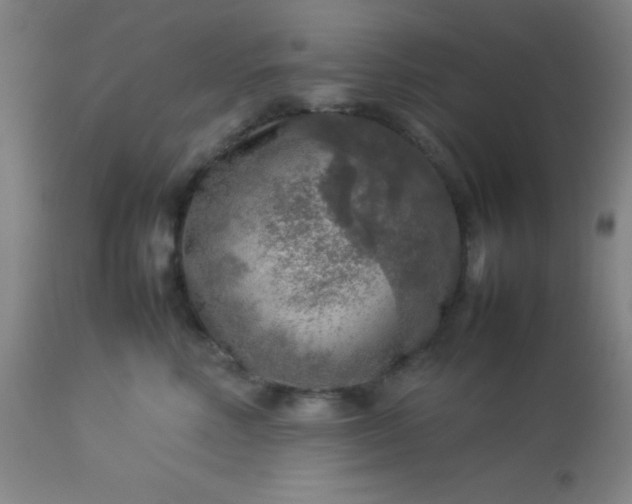 X0000113640618200910021918