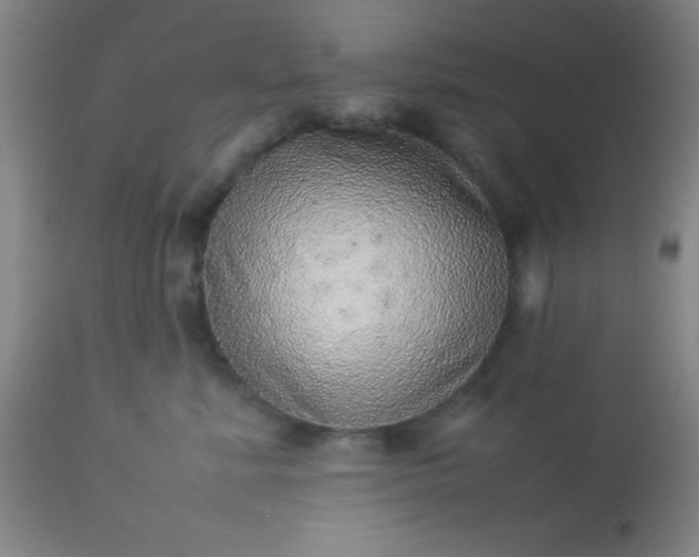 X0000113640619200910021918